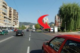 Cod nr 3006233-C