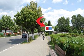 Cod nr 5005009-A